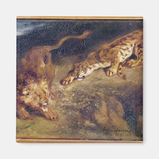 Tijger en lion magneet (Voorkant)