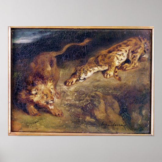 Tijger en lion poster (Voorkant)