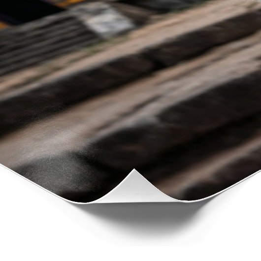 Tijger en tempel perfect poster (Hoek)