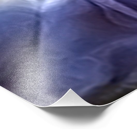 tijger en vlinder foto afdruk (Hoek)