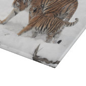 Tijger en welp in de sneeuw snijplank (Hoek)