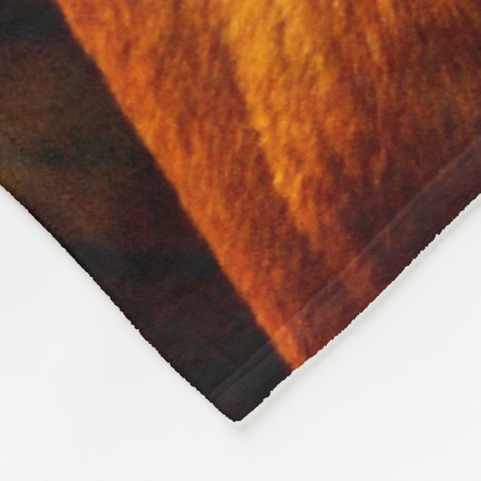 Tijger en zonsondergang fleece deken (Hoek)