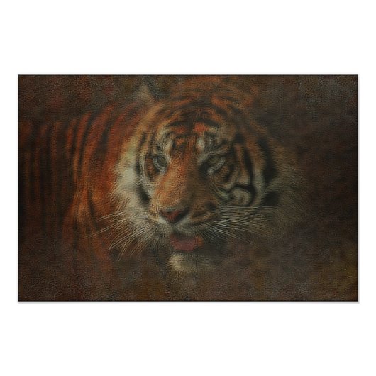 tijger foto afdruk (Voorkant)