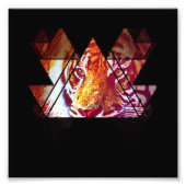 tijger foto afdruk (Voorkant)