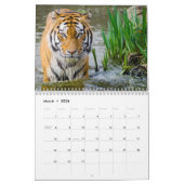 Tijger Fotografie Wild Animal 2025 Kalender (Mar 2026)