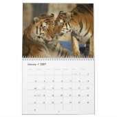 Tijger fotografie wild dier 2024 kalender (Jan 2027)