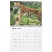 Tijger fotografie wild dier 2024 kalender (Feb 2027)