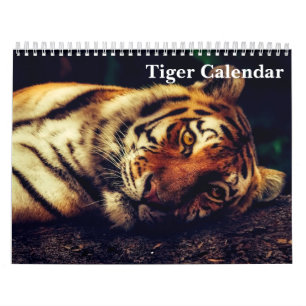 Tijger Fotografie Wild Dier 2027 Kalender