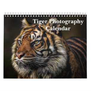 Tijger Fotografie Wild Dier 2027 Kalender