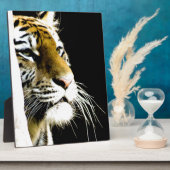 tijger fotoplaat (Zijkant)