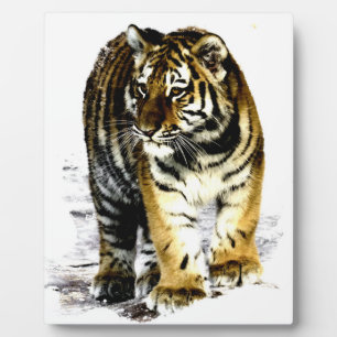 tijger fotoplaat