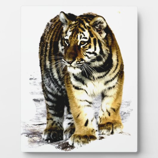 tijger fotoplaat (Voorkant)