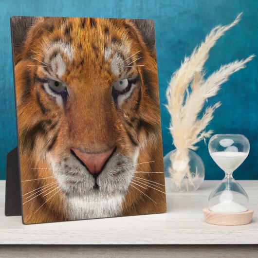 Tijger Fotoplaat (Zijkant)
