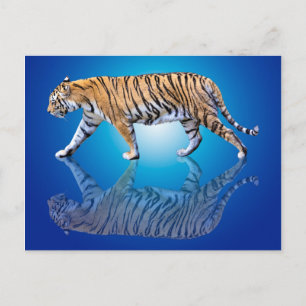TIJGER GEREFLECTEERD BRIEFKAART