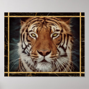 Tijger Gezicht Foto Afbeelding Print Poster
