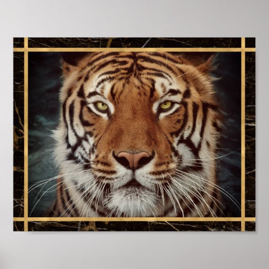 Tijger Gezicht Foto Afbeelding Print Poster (Voorkant)