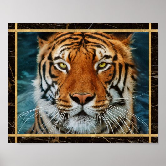 Tijger Gezicht Marmer Foto Afbeelding Print Poster (Voorkant)