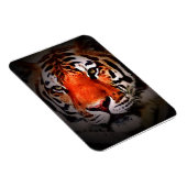 Tijger Gezicht Motiverende Kunst Magneet (Rechterzijde)