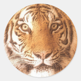 Tijger Gezicht - Sticker