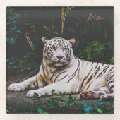 tijger glazen onderzetter (Voorkant)