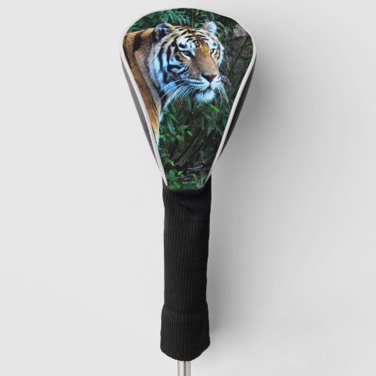 tijger golfheadcover (Voorkant)