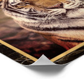 Tijger Grote Kat Foto Afbeelding Print Poster (Hoek)
