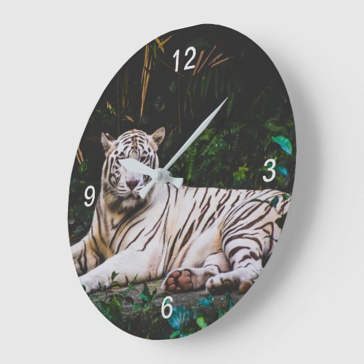 tijger grote klok (Hoek)