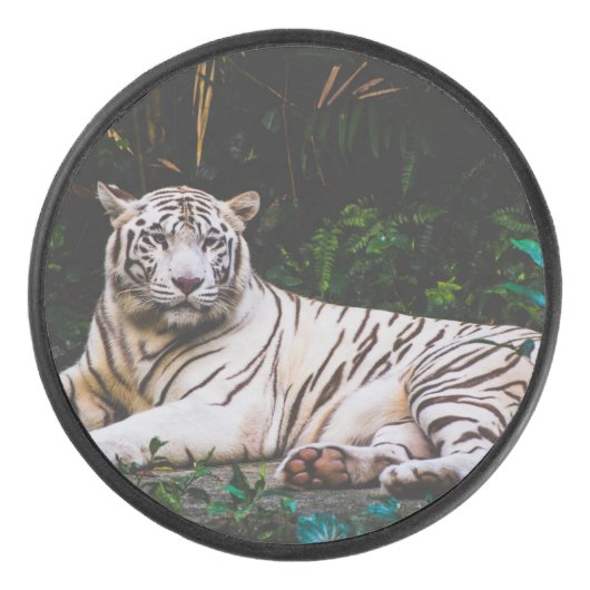 tijger hockey puck (Voorkant)