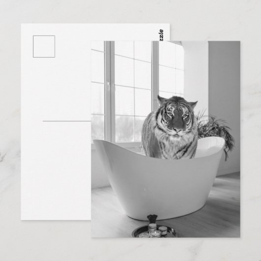 Tijger in Badkuip Zwart Wit Badkamerkunst Briefkaart (Voorkant / Achterkant)