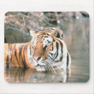 Tijger in beek muismat