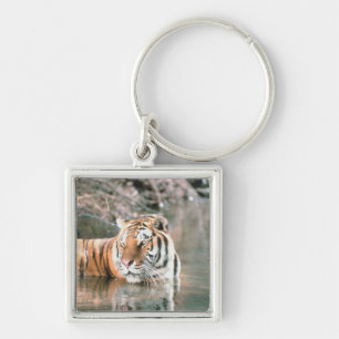 Tijger in beek sleutelhanger