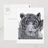 Tijger in de gras briefkaart (Voorkant / Achterkant)