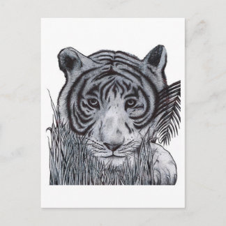 Tijger in de gras briefkaart