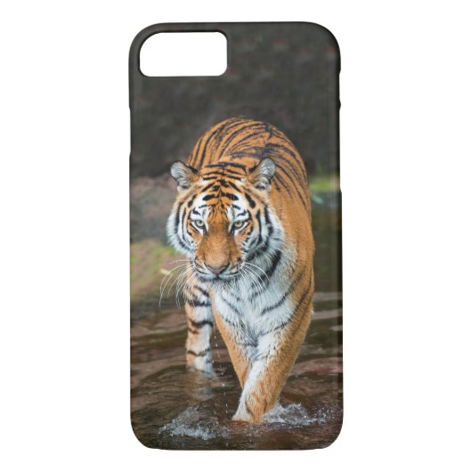 Tijger in de rivier Case-Mate iPhone case (Achterkant)