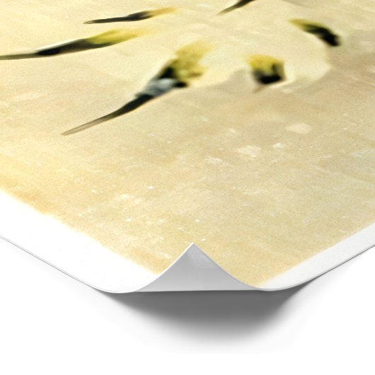 Tijger in de sneeuw Fine Art Poster (Hoek)