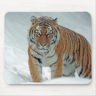 Tijger in de sneeuw muismat