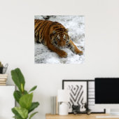 Tijger in de sneeuw poster (Thuiskantoor)