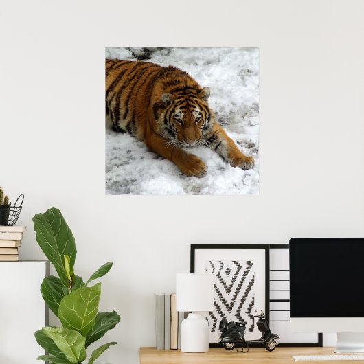 Tijger in de sneeuw poster (Thuiskantoor)