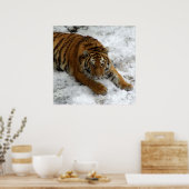 Tijger in de sneeuw poster (Keuken)