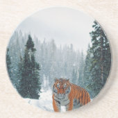Tijger in de sneeuw zandsteen onderzetter (Voorkant)