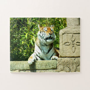 Tijger in de tempel legpuzzel
