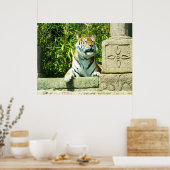 Tijger in de tempel poster (Keuken)
