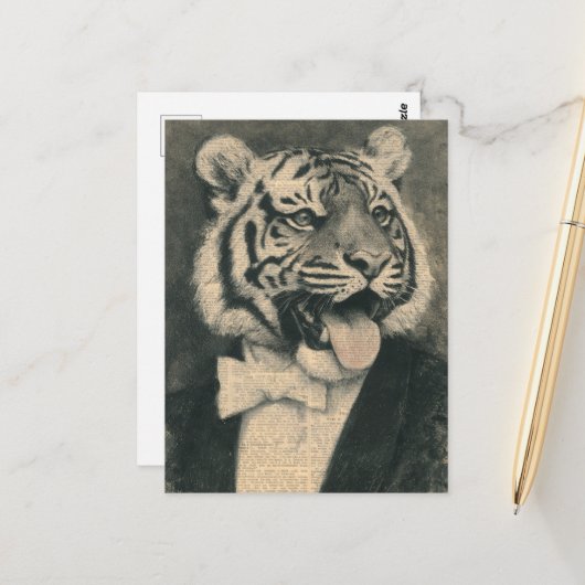 Tijger in een smokingcollage briefkaart (Voorkant / Achterkant in situ)