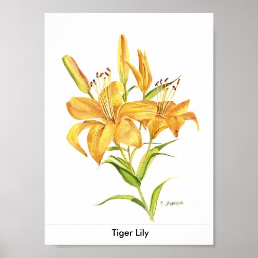 Tijger in gouden en gele waterverf poster (Voorkant)