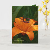 Tijger in Green Kaart (Gele Bloem)