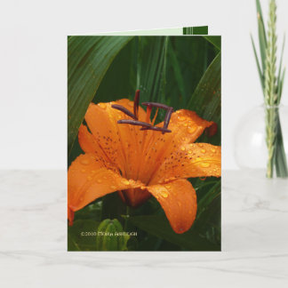 Tijger in Green Kaart