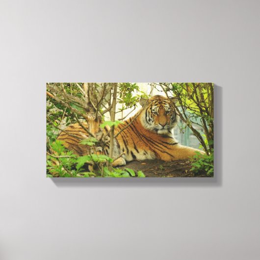 Tijger in het bos canvas afdruk (Voorkant)