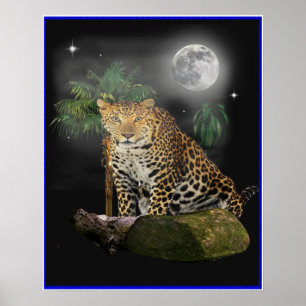 Tijger in het nachtelijke poster