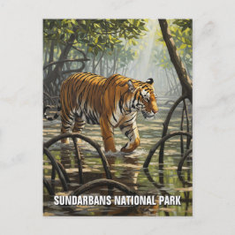 Tijger in het Sundarbans National Park Briefkaart