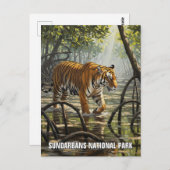 Tijger in het Sundarbans National Park Briefkaart (Voorkant / Achterkant)